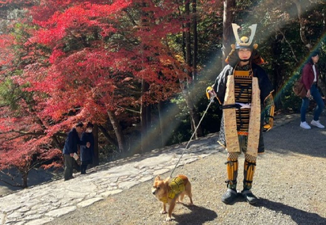武将体験